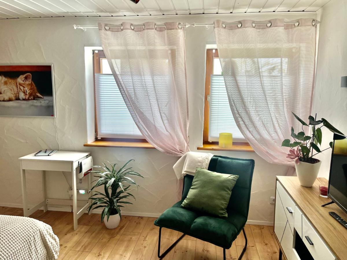 Apartment Balingen City Экстерьер фото
